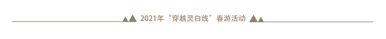 穿越灵白线.png
