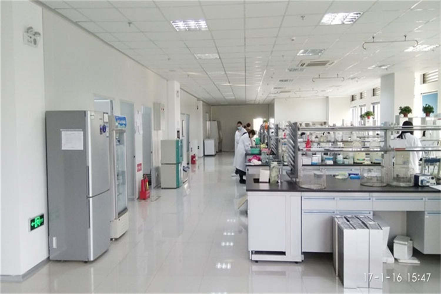 近岸蛋白质-实验室